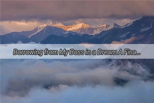 Borrowing from My Boss in a Dream A Financial and Emotional Journey Unveiled